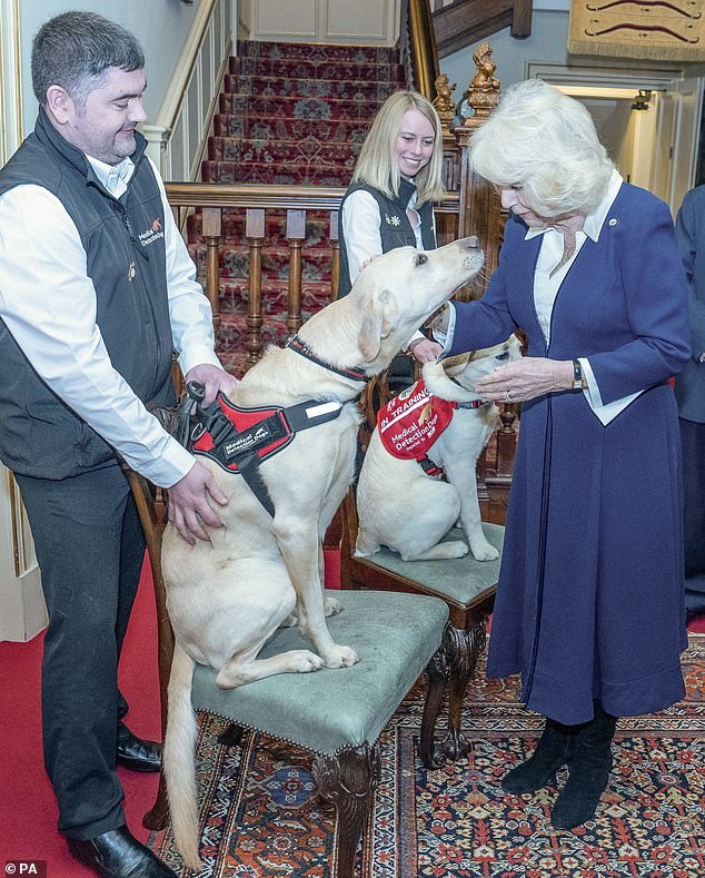 Queen Camilla welcomed two four-legged guests to Clarence House today at an event marking the 15th anniversary of the MedicalDetection Dogs charity.