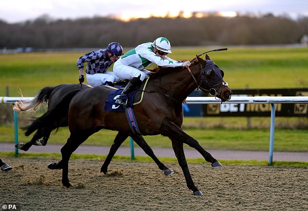 Mail Sport racing expert Robin Goodfellow offers his advice for Monday's meetings at Carlise, Lingfield and Wolverhampton.