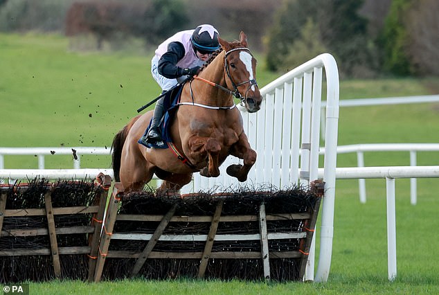 Mail Sport racing expert Robin Goodfellow offers his advice for Wednesday's meetings