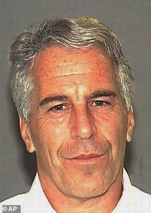 The Florida Department of Law Enforcement said it found no evidence that Jeffrey Epstein received special treatment.
