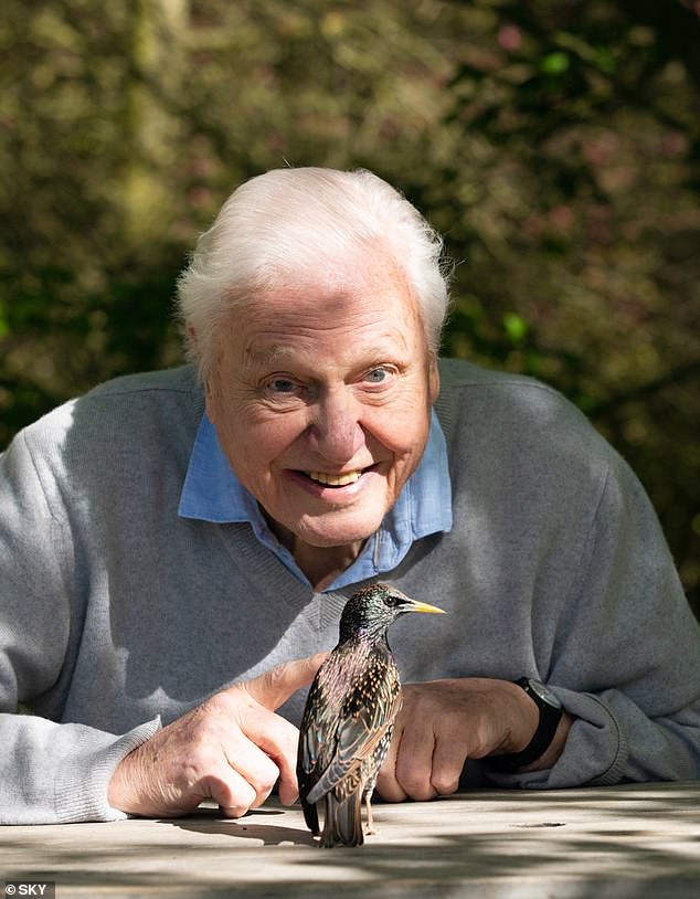 New technology obsesses Sir David Attenborough.  He has been a driving force for so many innovations.  As director of BBC2 in the 1960s, he oversaw the introduction of color television to Britain, and it was in Attenborough's iconic Life documentaries that many new filming methods were first shown.