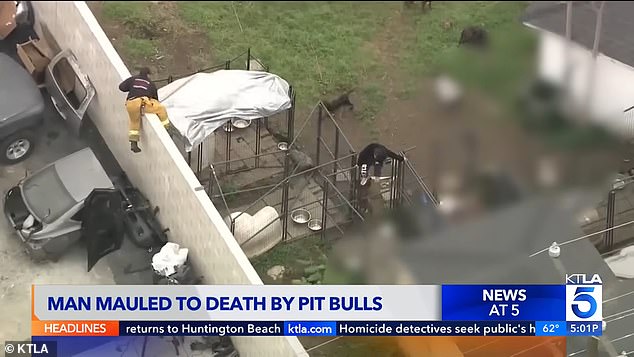 The man's body was found face down in one of the enclosures in his backyard.