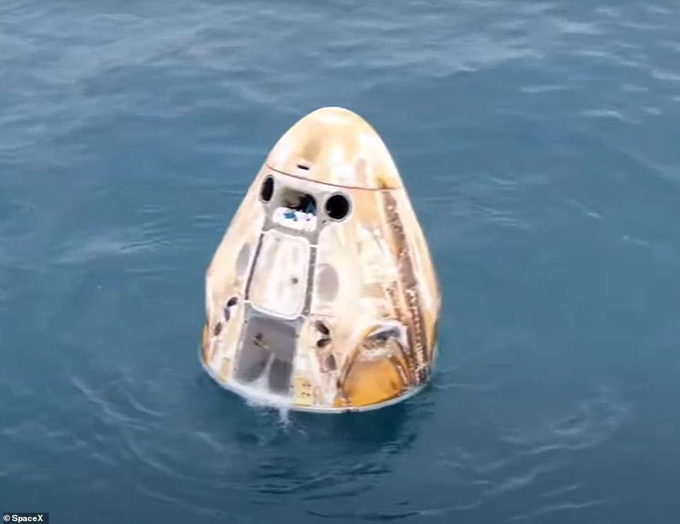 SpaceX's Dragon Crew capsule bobbed in the Atlantic Ocean off the coast of Daytona, Florida, after splashing down.  Its surface was scorched by the immense heat created during re-entry.