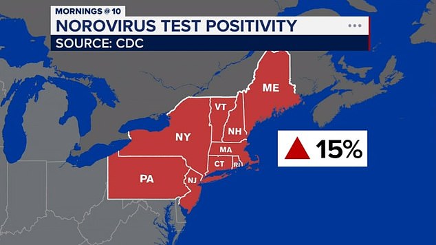 The map above highlights the northeast region of the US currently facing a norovirus outbreak.