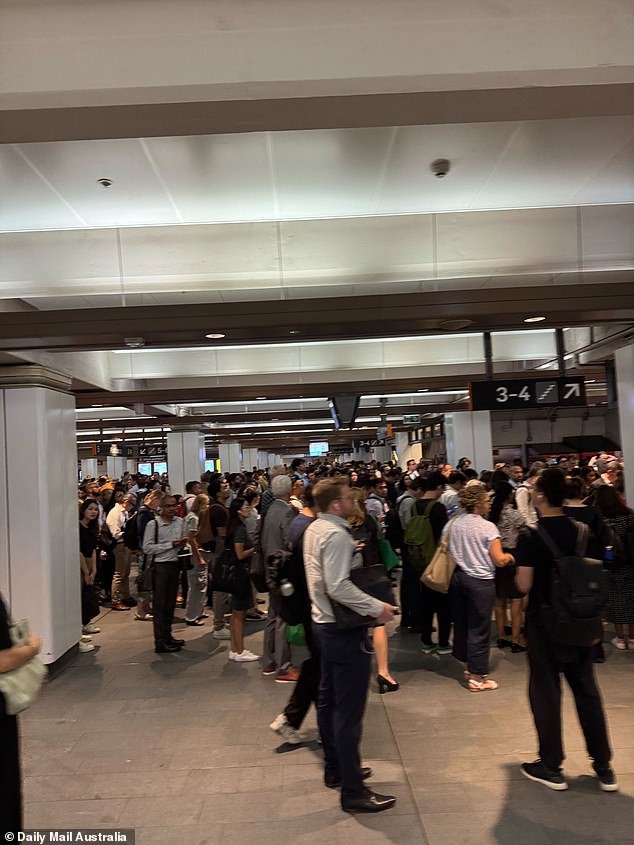 Commuters faced long delays after several trains were canceled following a death at Macdonaldtown station on Wednesday afternoon (pictured).