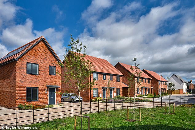 Profitability: Taylor Wimpey's profits almost halved last year due to rising construction costs and a significant drop in new home completions.