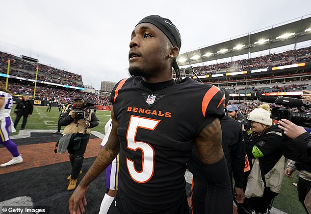 Tee Higgins to return to Cincinnati in 2024 as Bengals use $21.8M franchise tag