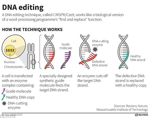 The CRISPR/Cas9 technique uses tags that identify the location of the mutation and an enzyme, which acts like small scissors, to cut DNA at a precise location, allowing small portions of a gene to be removed.