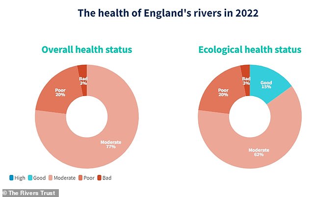 All English rivers have chemical health problems and only 15 per cent are in good ecological condition, report warns