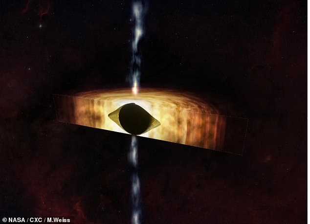 NASA released an illustration showing the cross section of the football-shaped supermassive black hole surrounded by swirling material.