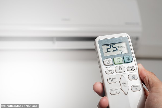 Australians have found that they use the air conditioning in dry mode on muggy days to keep the house cool and reduce energy bills (file image)