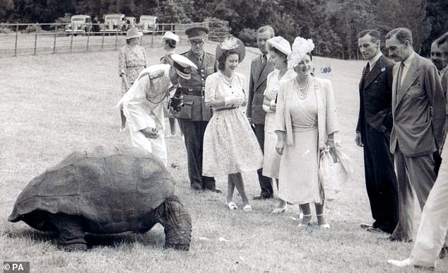 The tortoise met Edward's late mother, Princess Elizabeth, later Queen Elizabeth II, and his grandparents, King George VI and Queen Elizabeth, later the Queen Mother, in 1947.