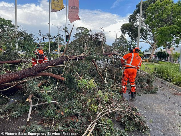 A dairy farmer in his 50s died after being hit by flying debris during wild storms in the Gippsland region during the wild storms that have hit the state (pictured)