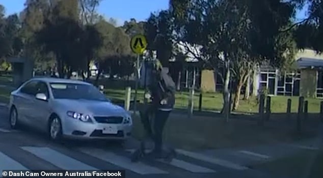 Under road rules in Victoria, drivers must give way to all pedestrians at pedestrian crossings, and that includes electric scooter drivers.