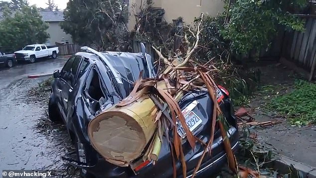 Areas of the state have already experienced nine inches of rain and forecasters predict there will be up to six more. In the photo, a tree fell on a car in the California floods.