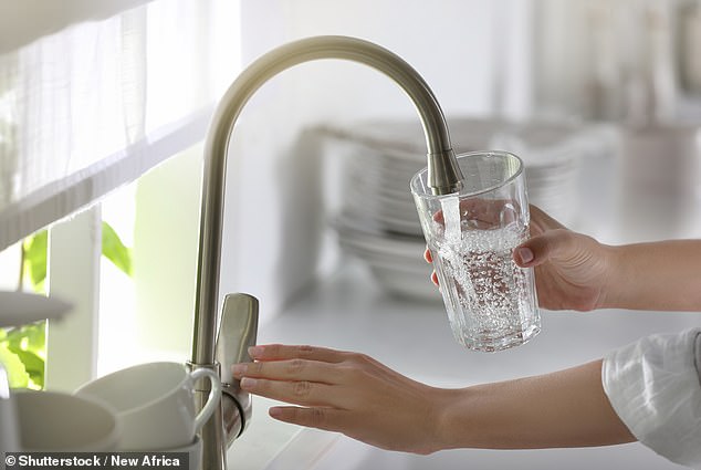 Government advice says Brits should avoid drinking or using hot tap water for cooking (file image)