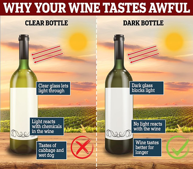 Why you should only buy wine in DARK bottles Graphic