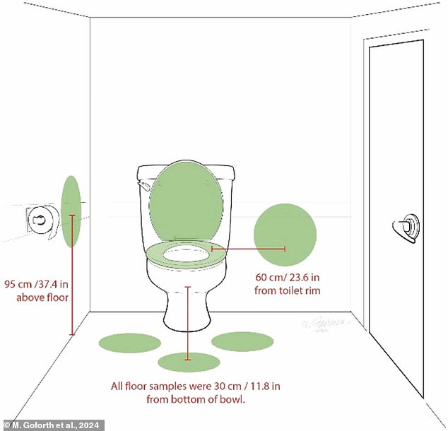 The researchers seeded a toilet with MS2 bacteria, a model of E. Coli, and took samples from the areas surrounding the toilet one minute after flushing.
