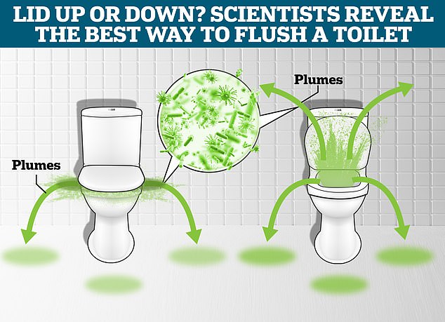 Scientists say flushing the toilet can release a plume of aerosolized bacteria and viruses into the air, but is it better to leave the lid open or closed when flushing?