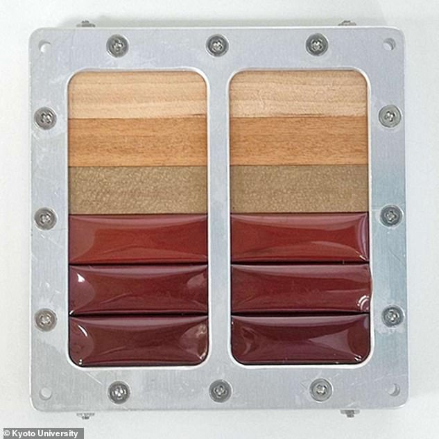 Wood samples sent to the ISS (pictured) were exposed to space for an entire year but showed no significant signs of damage or decay.
