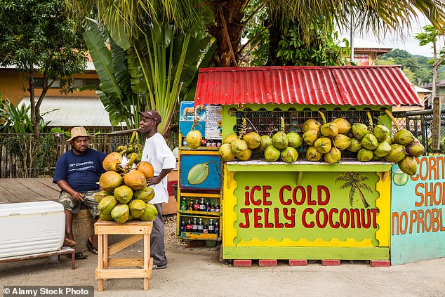 A street kiosk selling coconuts around Ocho Ríos, on the island's north coast.