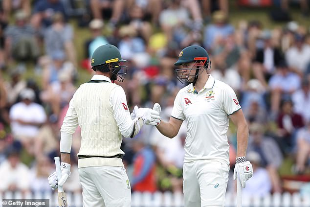 Hazlewood (left) provided 22 runs off 62 balls for a record 10th partnership against the Black Caps.