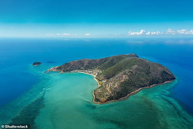 The mother fell in love with Hayman Island's stunning sunsets, stunning beaches and local wildlife.
