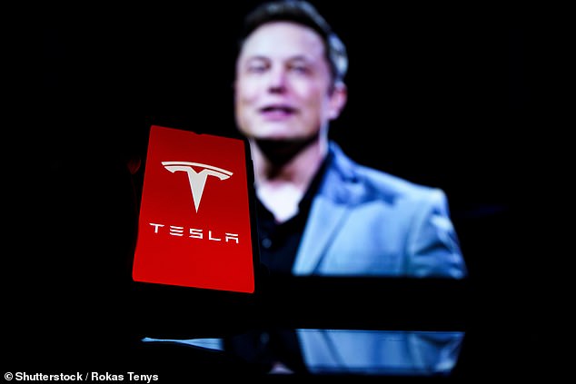 Tesla is here to stay: According to Lofthouse, the electric car company is now fully established, highly profitable, and highly unlikely to disappear or go bankrupt.