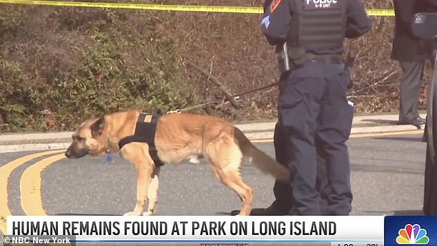 After the initial gruesome discovery, a cadaver dog located another body part, this time a leg.