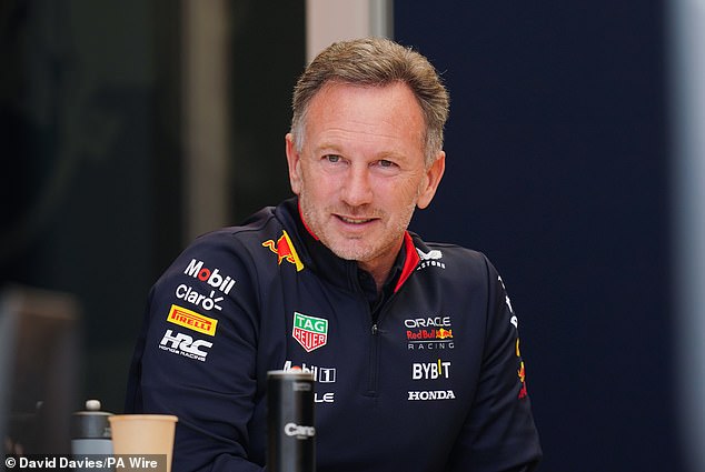 Horner took part in practice sessions in Bahrain before qualifying begins on Friday.