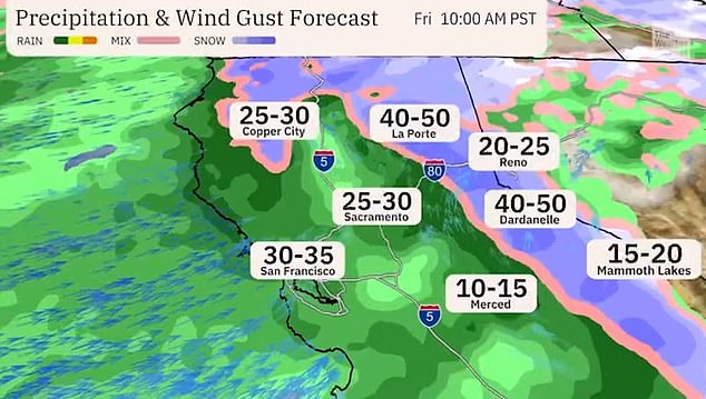 According to the Weather Channel, the Sierra Nevada could soon be covered in 12 feet of snow along with strong winds.