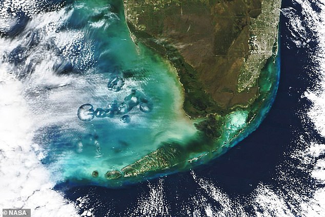A strange cloud chain north of the Florida Keys looks like a giant floating jellyfish. Captured in January by NASA's Terra satellite, these 'Cavum clouds' (above) are 'so strange that people sometimes argue that they are signatures of flying saucers,' according to the US Space Agency.