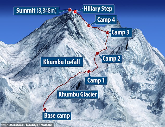 Mount Everest was divided into sections. Hikers typically stay at base camp for several days to acclimatize to the altitude and avoid altitude sickness.