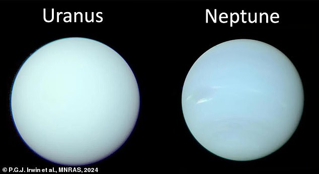 If the Sun loses more than 50 percent of its mass as it becomes a planetary nebula, Uranus and Neptune (pictured) will be forcibly pulled into space.