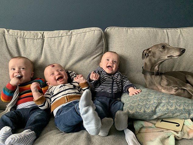 From left to right: Jerry, Rafa and Frankie pictured with a dog. The triplets were born at 33 weeks, which meant they were rushed to the NICU, where Frankie and Rafa stayed for four weeks. Jerry had to stay another week.