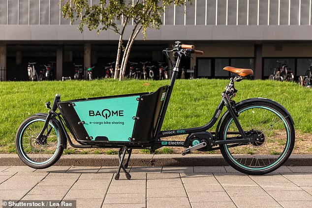 Lucy Denyer said taking her children to class on an electric cargo bike has saved her valuable time on the school run (file image)