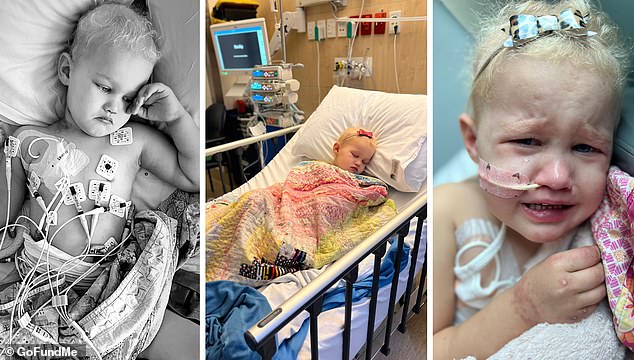 Lucy underwent 12 months of grueling treatment (pictured) and successfully beat the cancer.