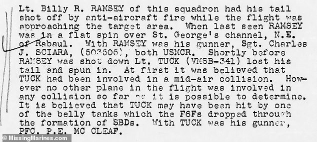 The incident was recorded in the war diary of the 236th Bombardment Squadron of Marine Scouts, also known as the 'Black Panthers'.