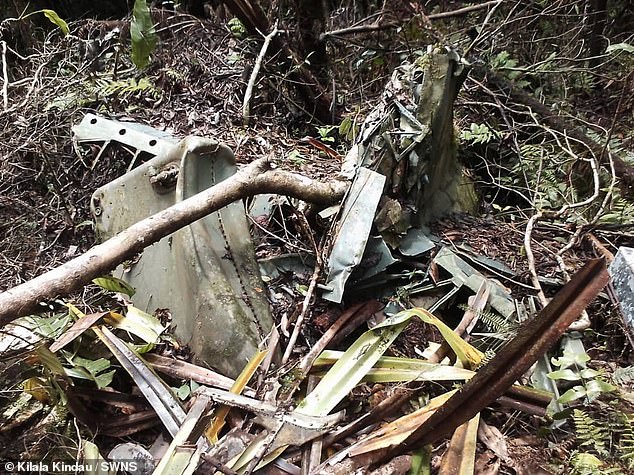 Images from the crash site show the downed plane's engine, propeller and shrapnel strewn across the jungle floor.