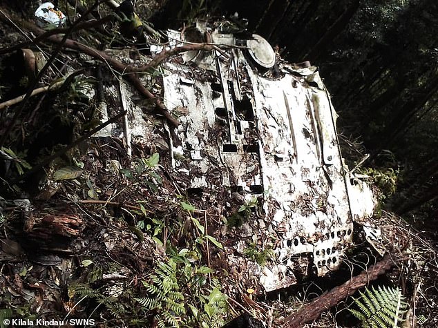 The SBD Dauntless was found in early January deep in the jungles of Papua New Guinea.