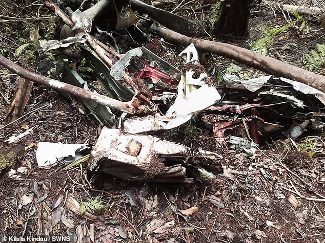 Parts of the plane are seen after they were found on the jungle floor in Papua New Guinea.