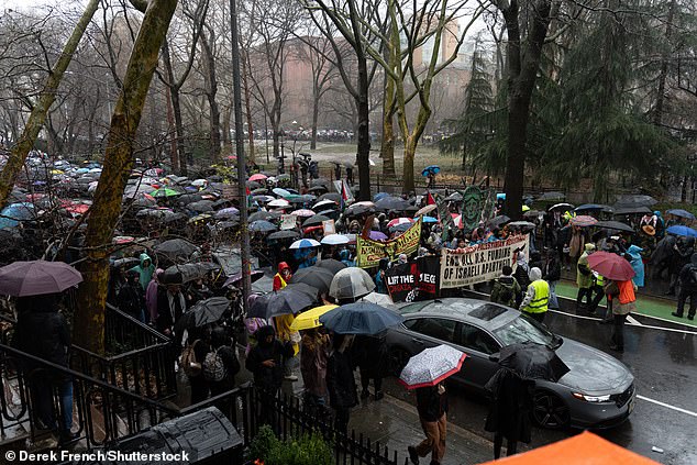 Large crowds gathered in the park, despite the rain that New Yorkers faced all day on Saturday.