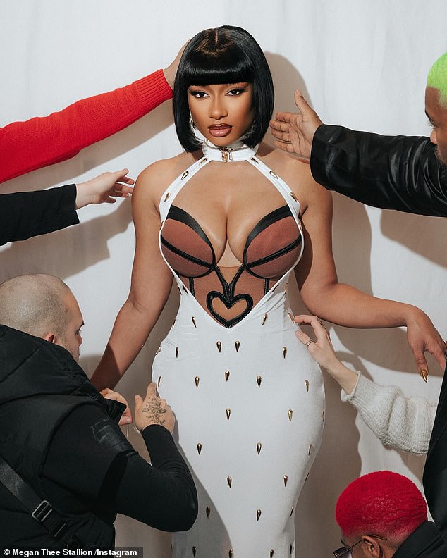 Thee Stallion shared one last image of herself looking into the camera as no less than six different people reached out to touch her sexy ensemble.
