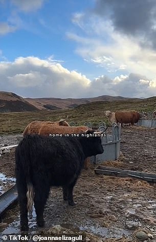 Joanna posts snippets of her life on the Isle of Skye on TikTok