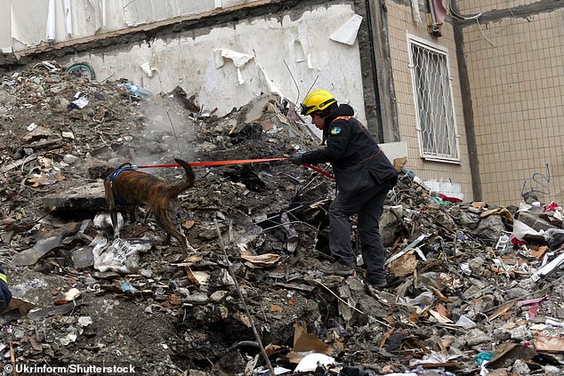 A guide and a dog examine the ruins and observe a section of a residential building destroyed by a Russian drone.