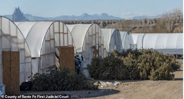 A sprawling illegal marijuana plant in New Mexico was shut down after authorities found a network of 1,100 greenhouses across 400 acres.