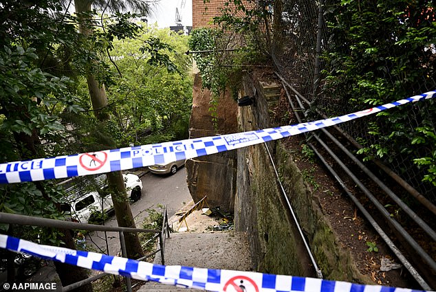 The accident scene is shown from the top of the stairs leading to the road below the cliff from which the car plunged.