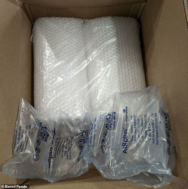 Apparently, in this case, a bubble wrap delivery strangely needed additional plastic packaging to protect it.