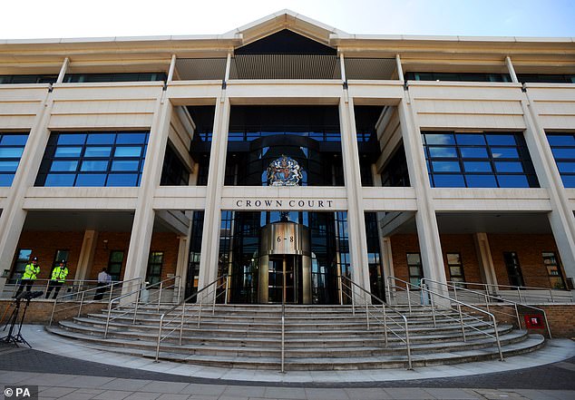 The 30-year-old, who was wearing a white T-shirt under a black suit jacket when she appeared at Kingston Crown Court (pictured) via video link.