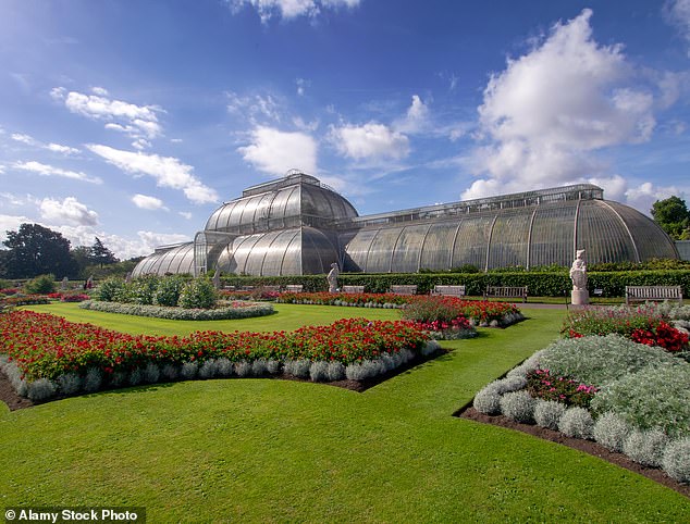 Current research projects include investigating plants as a way to treat inflammation. The Palm House at Kew Gardens